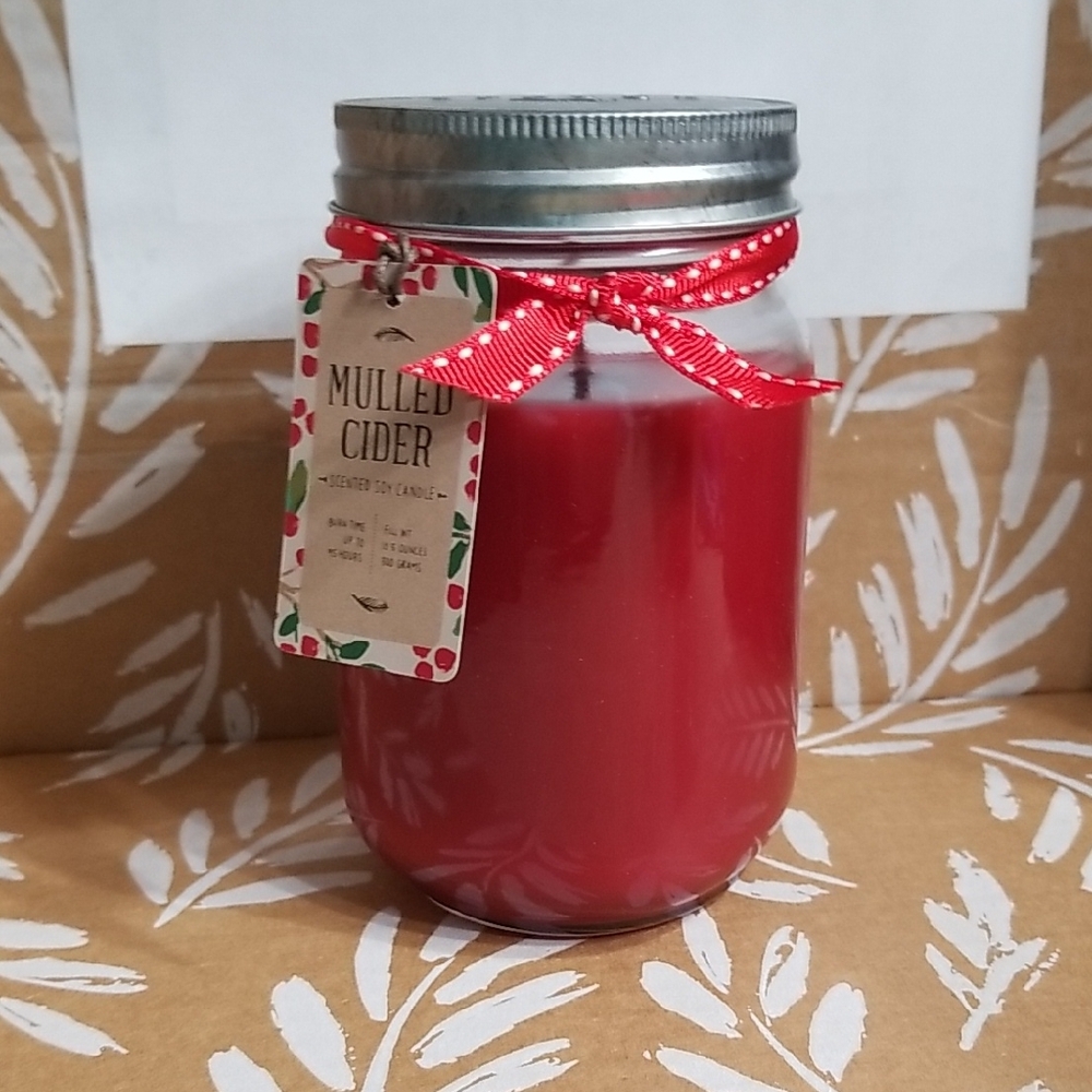 Mulled Cider Scented Soy Candle in Red with glass Mason Jar by Spruce NWT